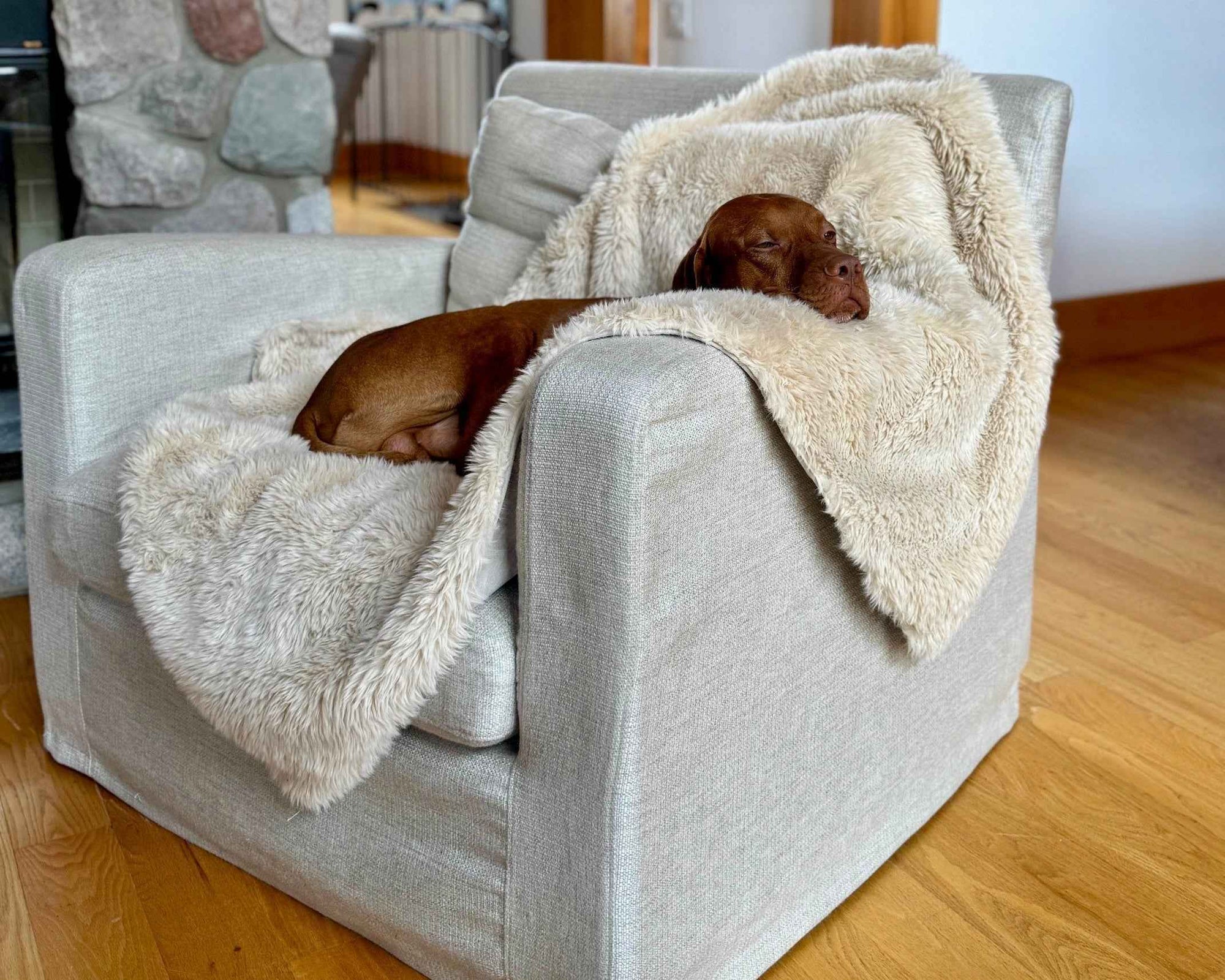 Bowsers Dog Furniture Cover Blanket Topper Dog Furniture Cover - Washable Couch and Furniture Protection