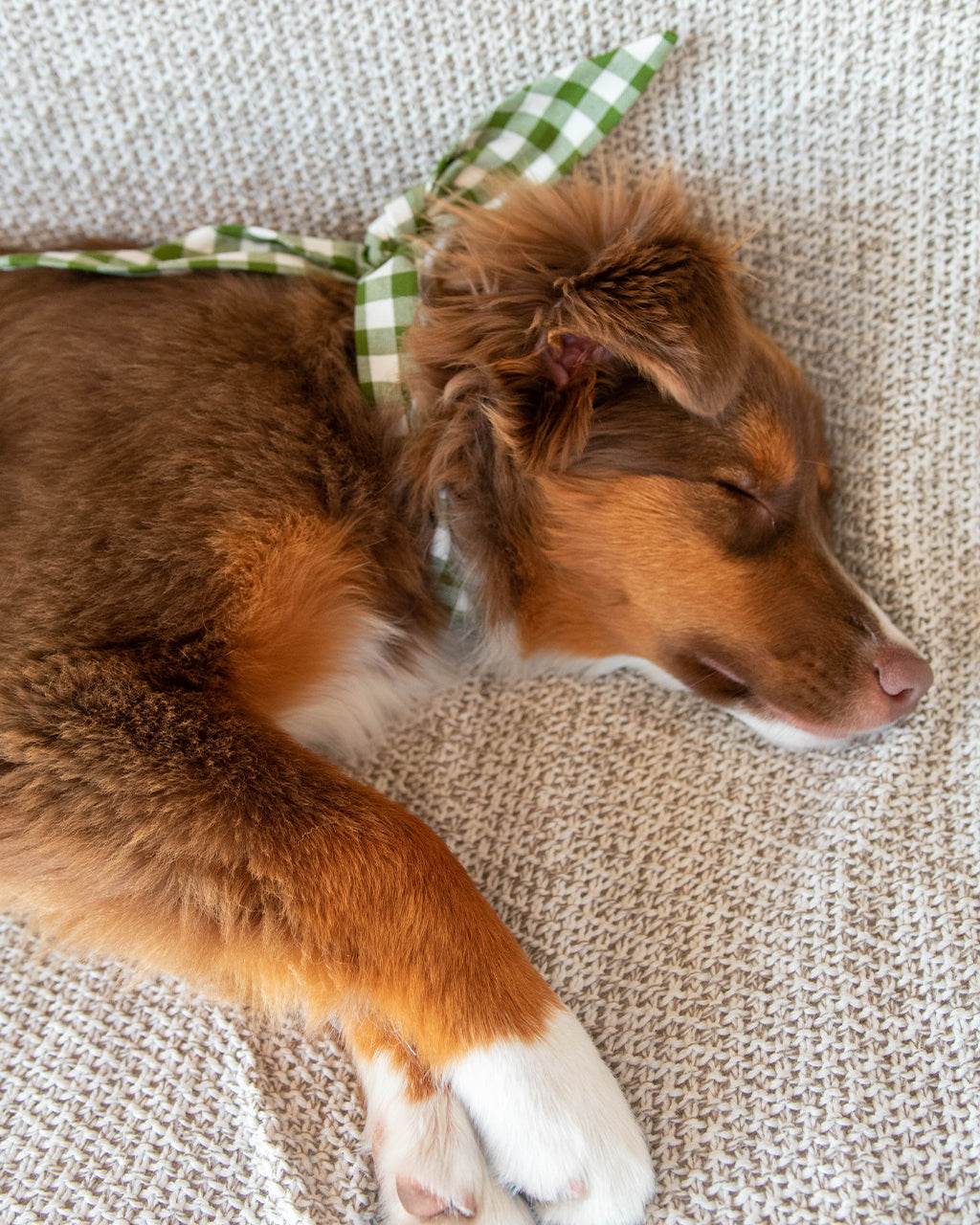 Adventure Necktie