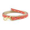 Up Country Foxy Small Breed Dog Leash Made in USA