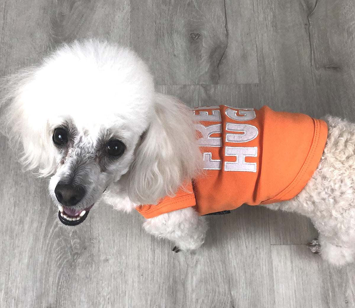 Parisian Pet Free Hugs Embroidered Dog T-Shirt-Orange