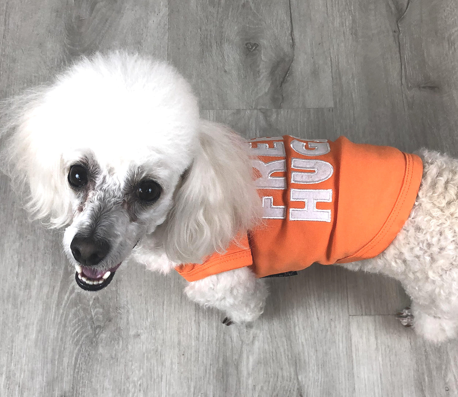Parisian Pet Free Hugs Embroidered Dog T-Shirt  Trendy Casual Outfit for Small Dogs & Cats, Orange - Valentines Day