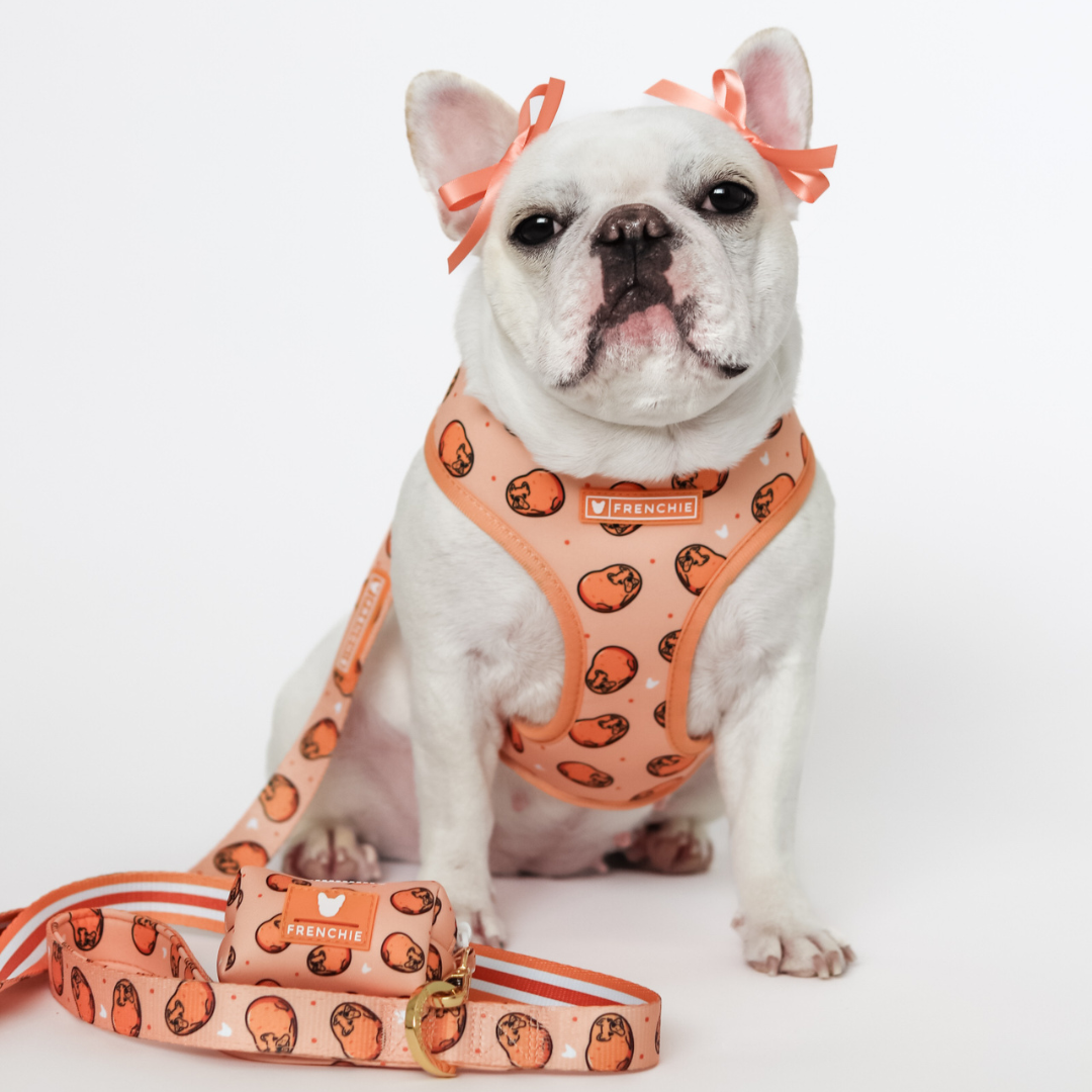 Frenchie Comfort Leash - French Potato