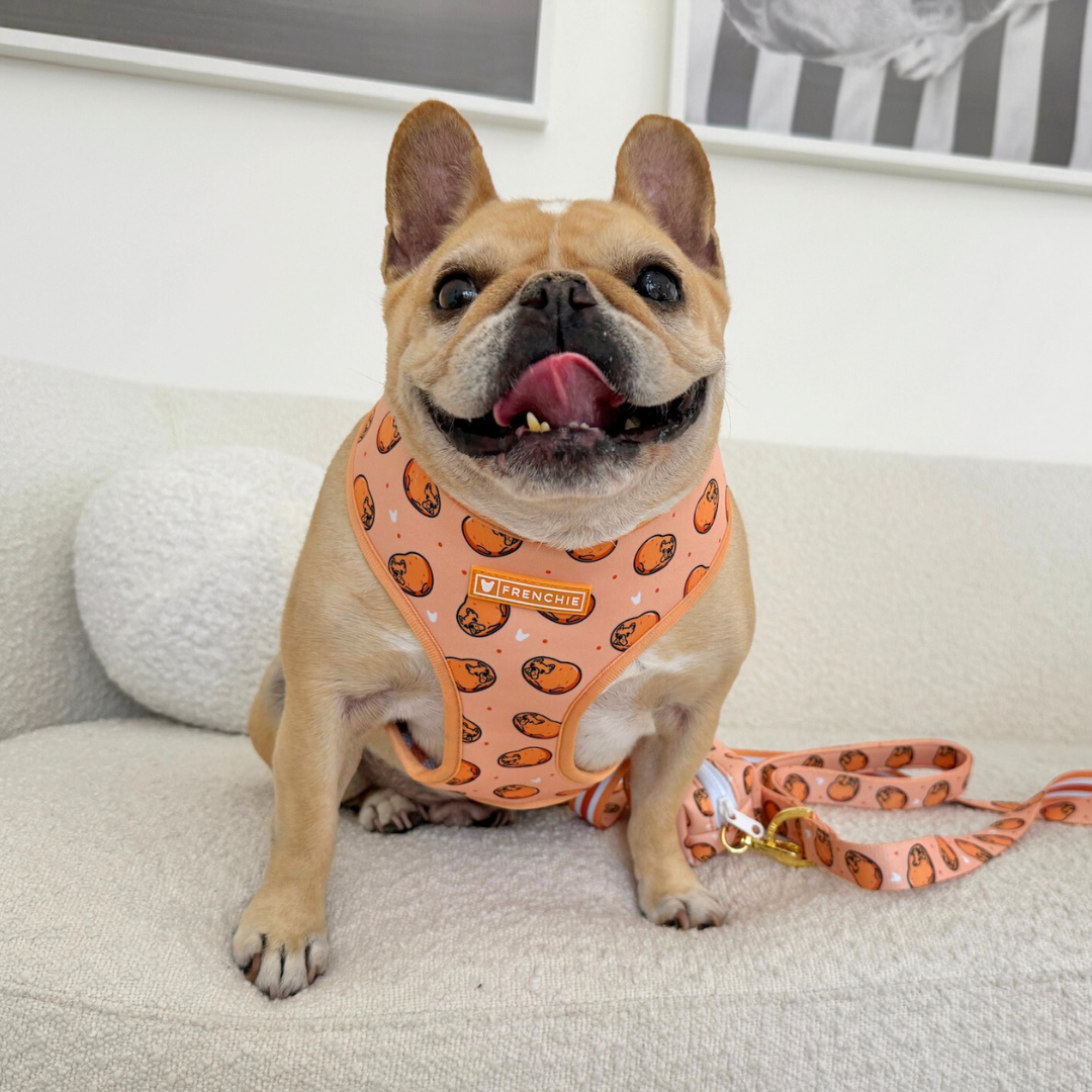 Frenchie Duo Reversible Harness - French Potato