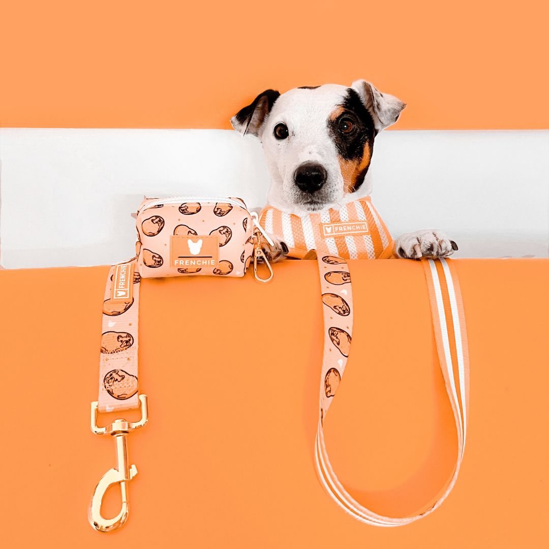 Frenchie Comfort Leash - French Potato