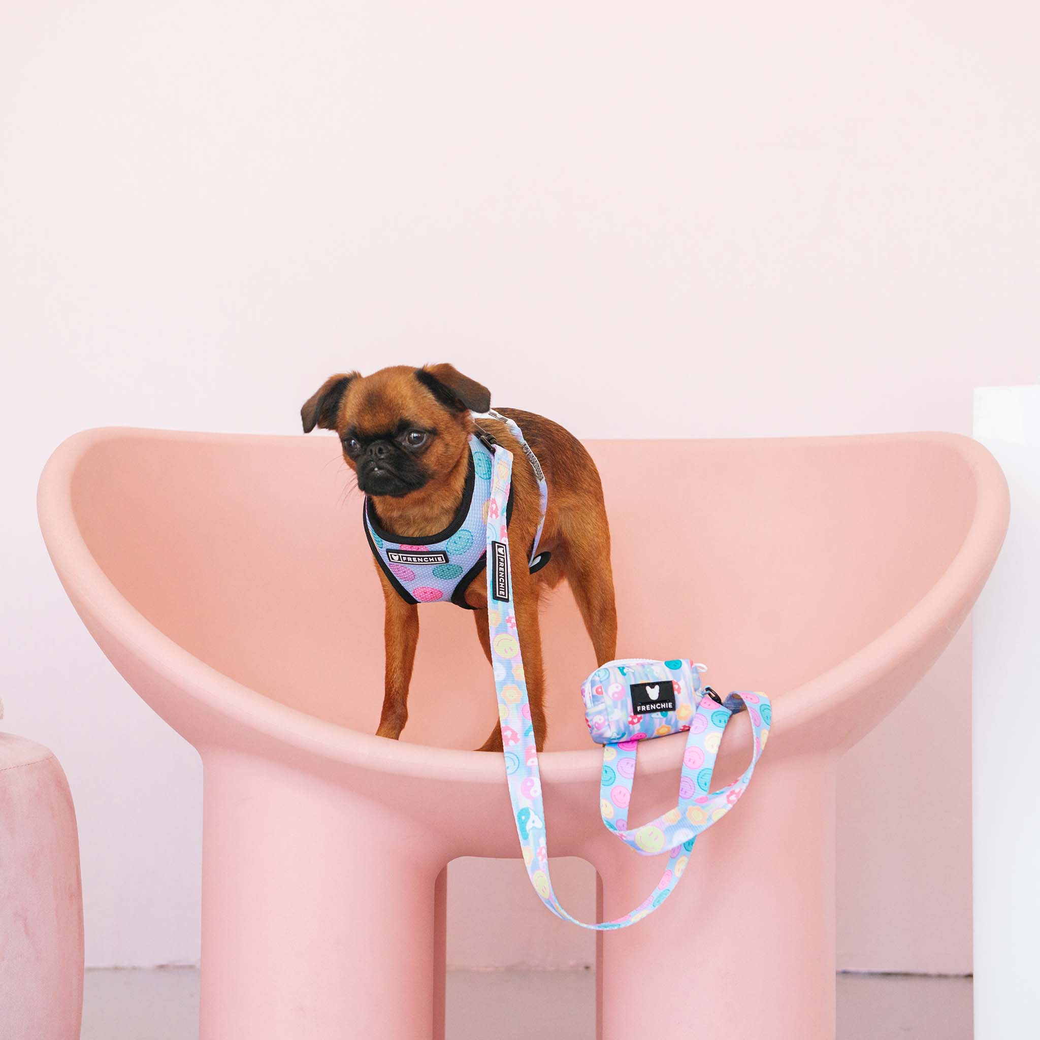 Frenchie Comfort Leash - Good Vibes