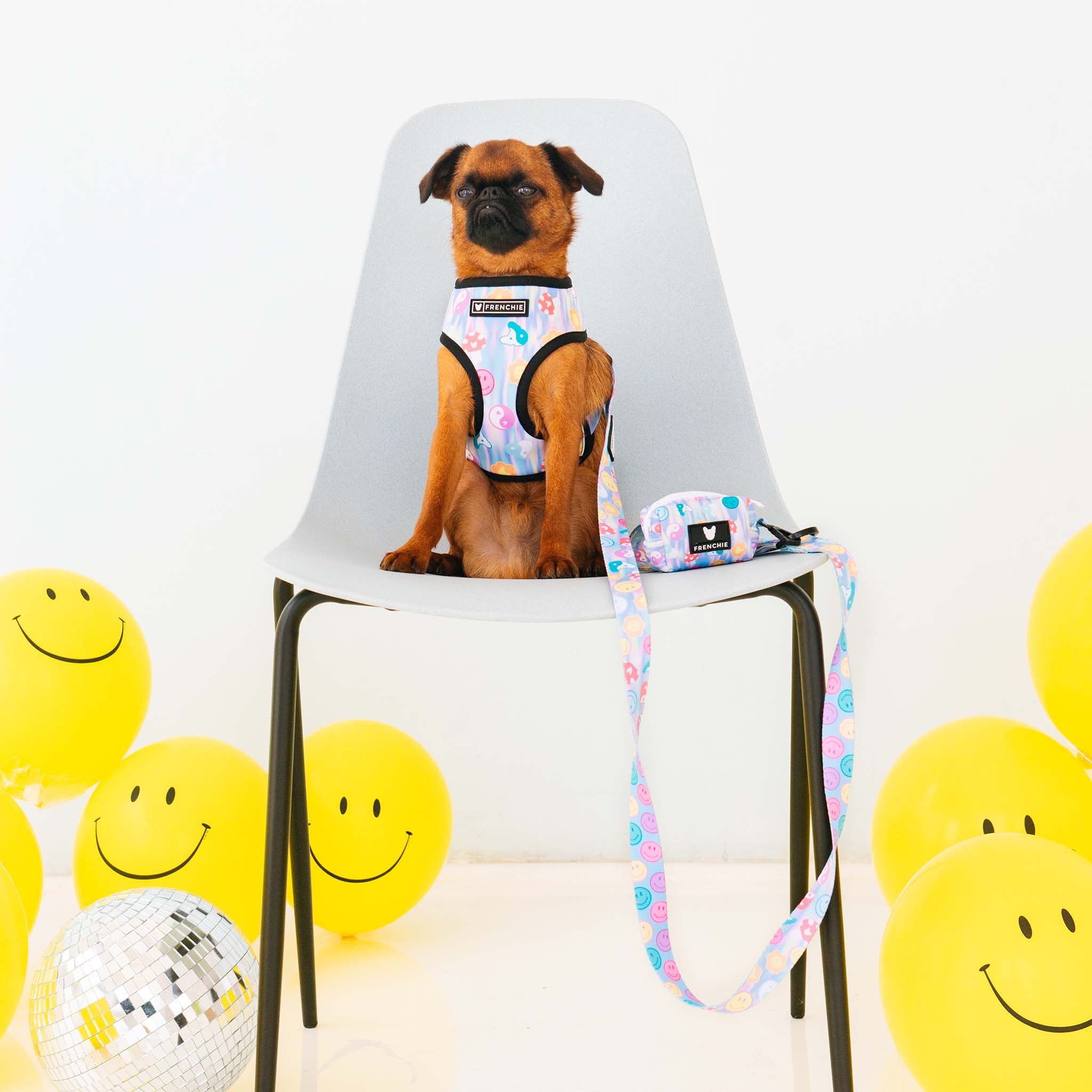 Frenchie Comfort Leash - Good Vibes