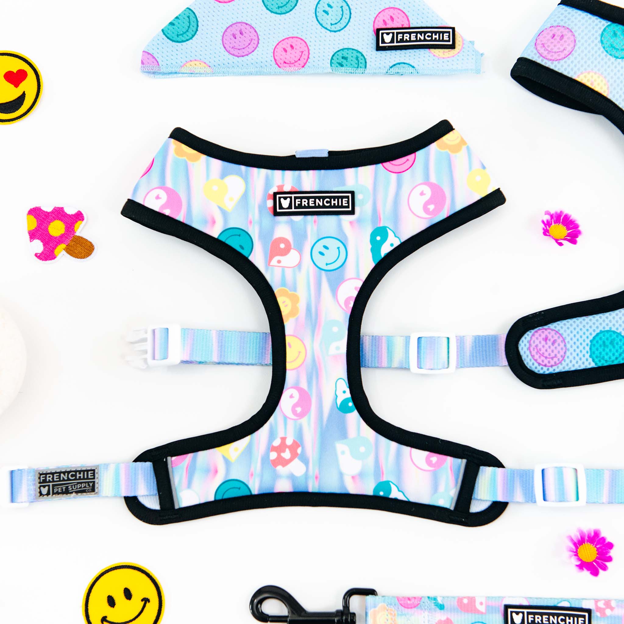 Frenchie Duo Reversible Harness - Good Vibes