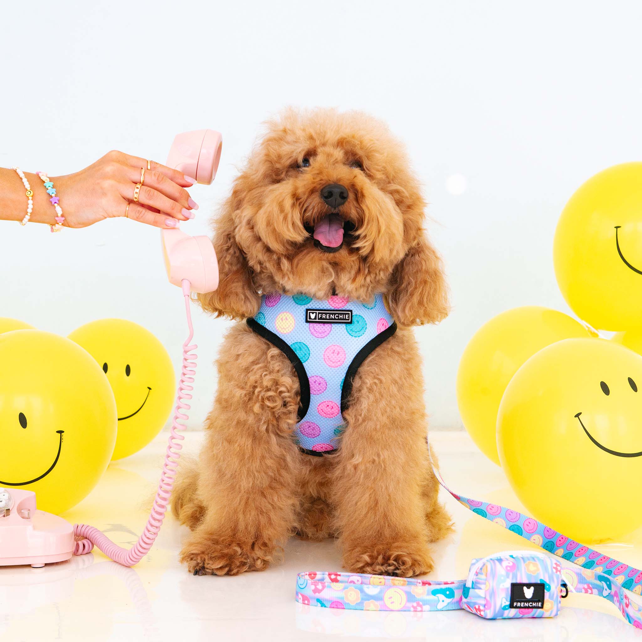 Frenchie Duo Reversible Harness - Good Vibes