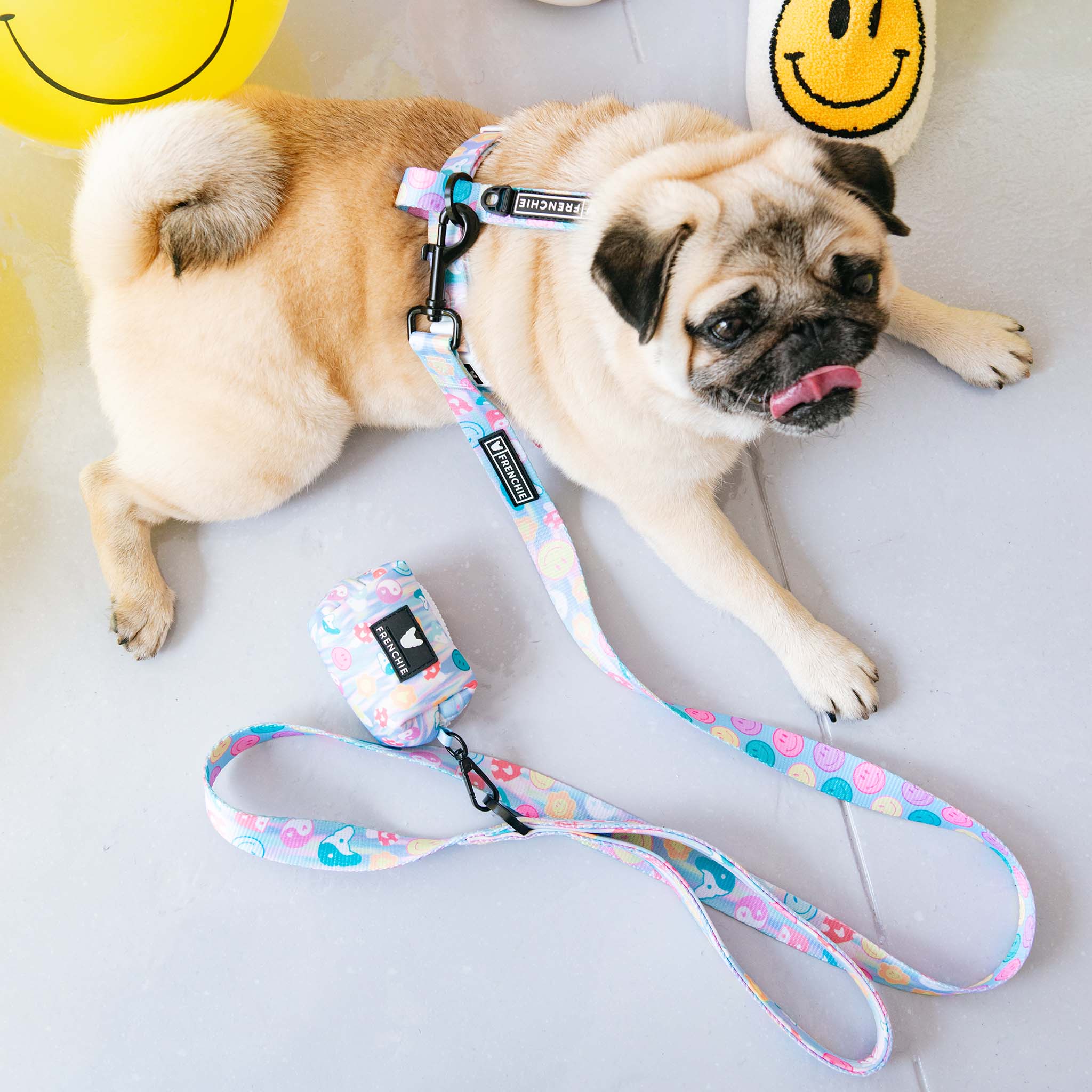 Frenchie Comfort Leash - Good Vibes