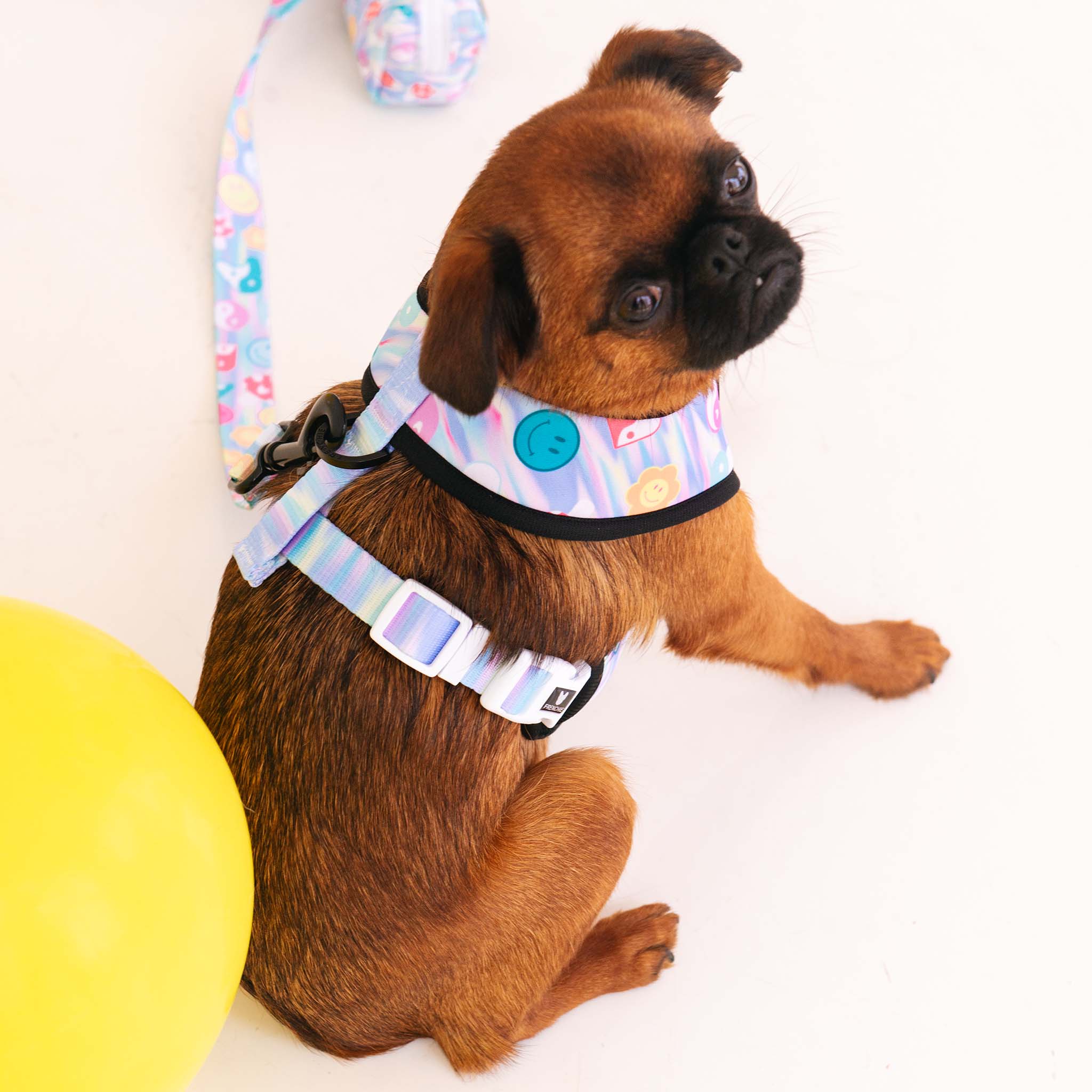 Frenchie Duo Reversible Harness - Good Vibes