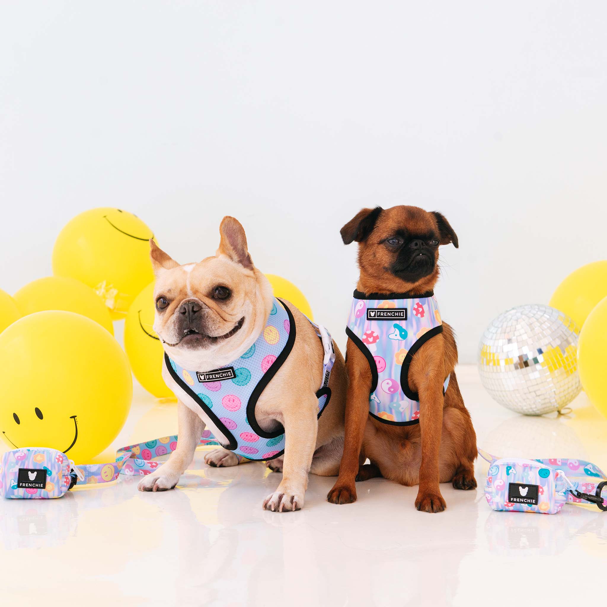 Frenchie Duo Reversible Harness - Good Vibes