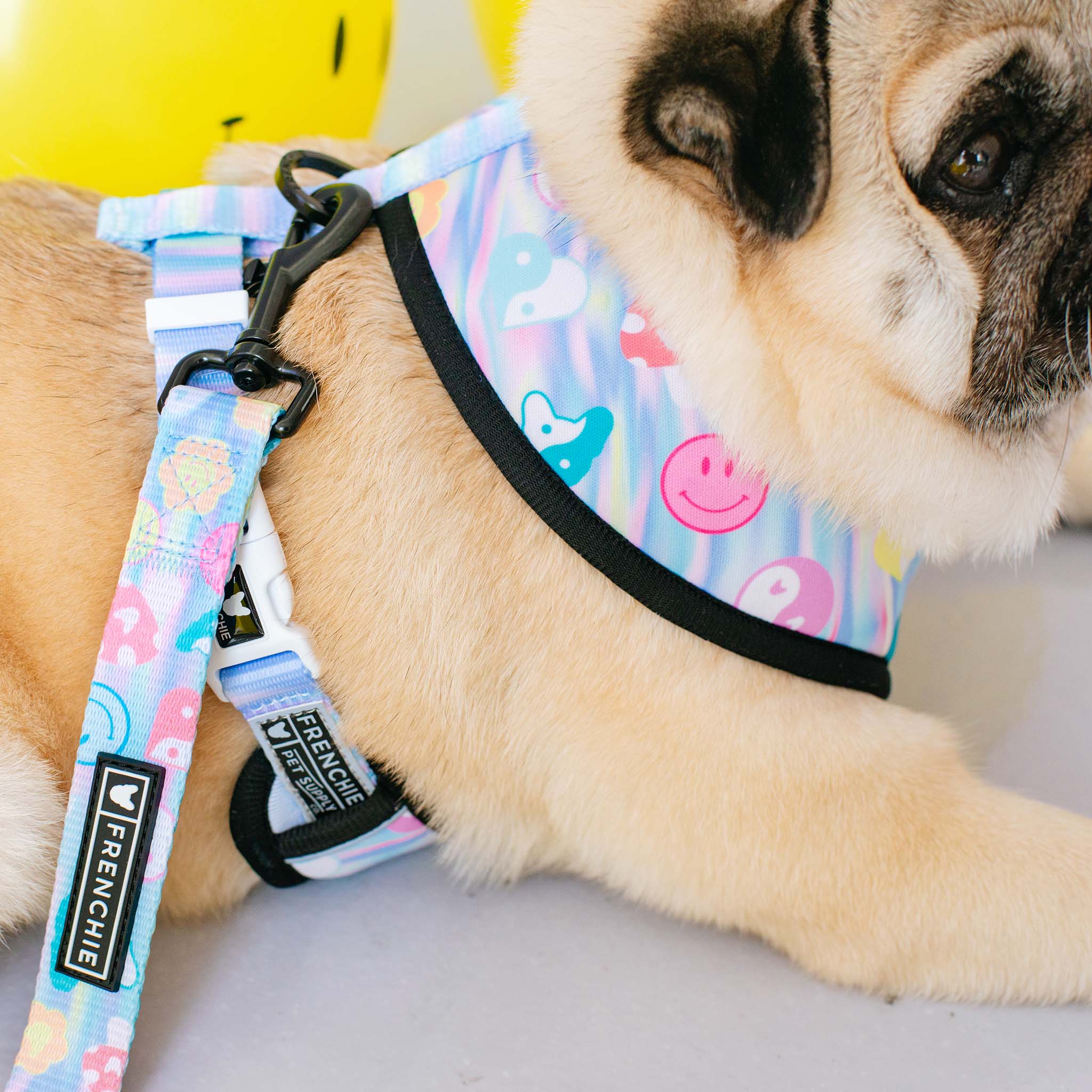 Frenchie Duo Reversible Harness - Good Vibes