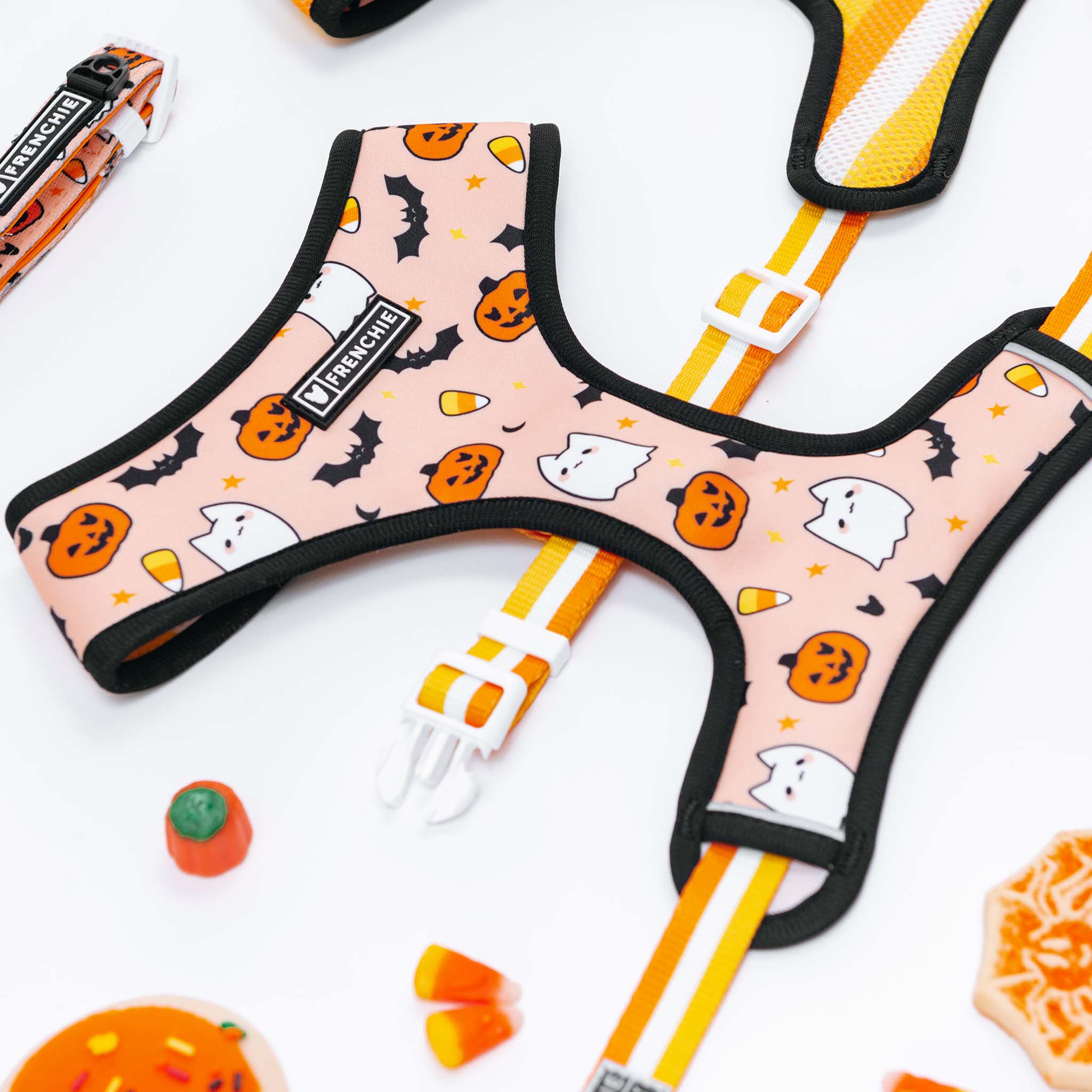 Frenchie Duo Reversible Harness - Spooky