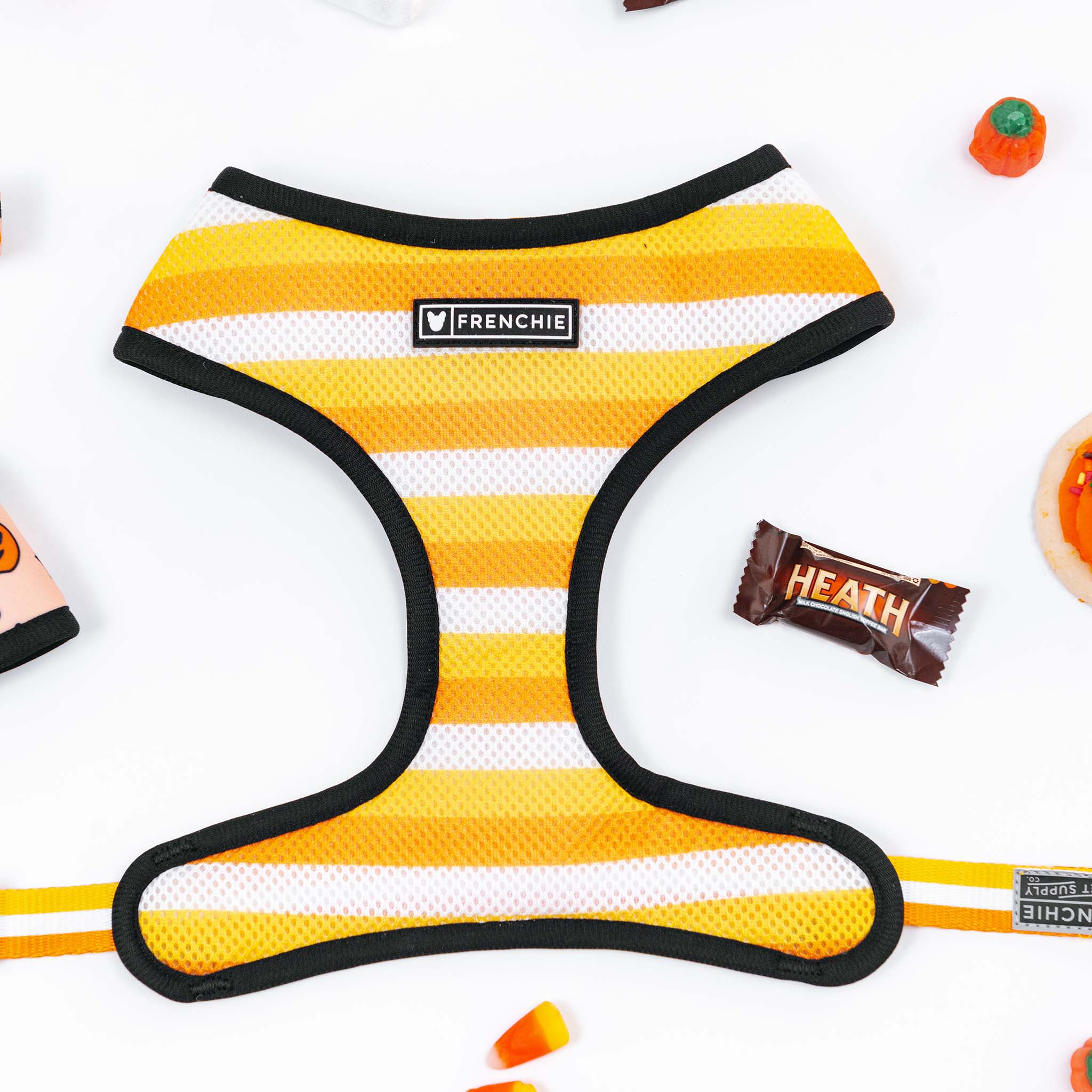 Frenchie Duo Reversible Harness - Spooky