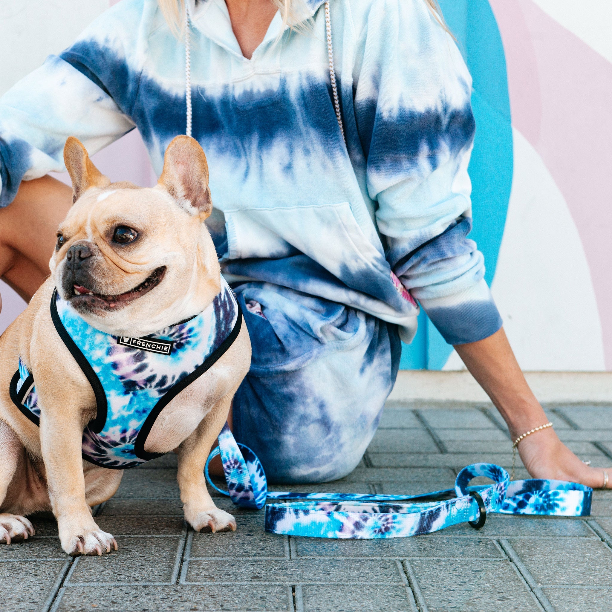 Frenchie Comfort Leash - Trippy Tie Dye