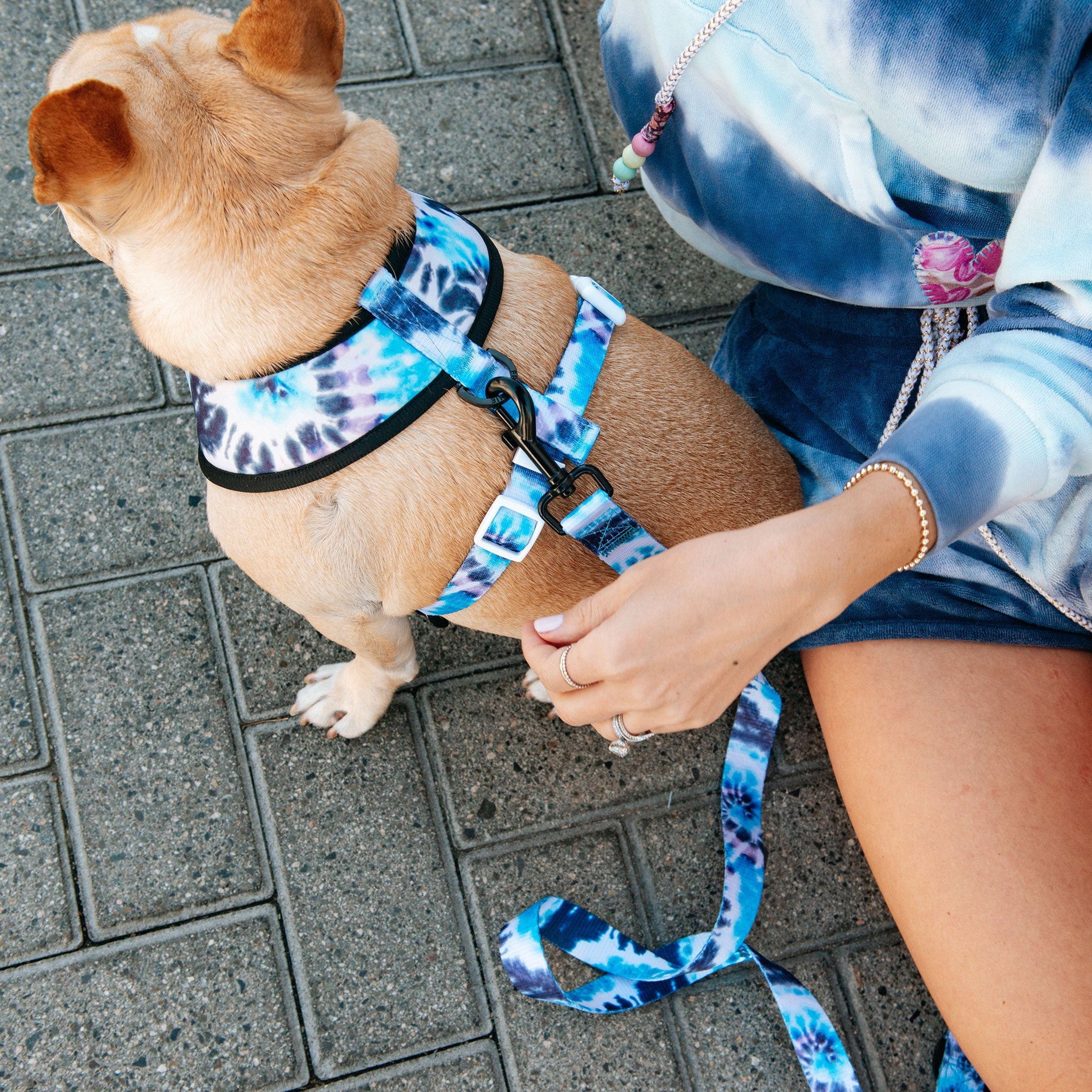 Frenchie Comfort Leash - Trippy Tie Dye