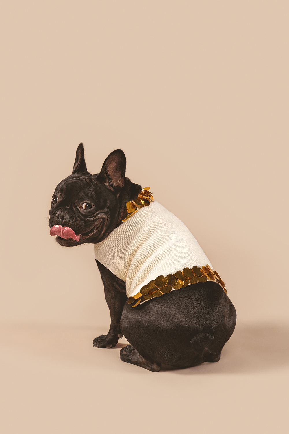 Fancy You Sweater 