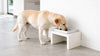 Bowsers Fresco Single Wood Dog Bowl Feeder - Elevated Designer Pet Dining
