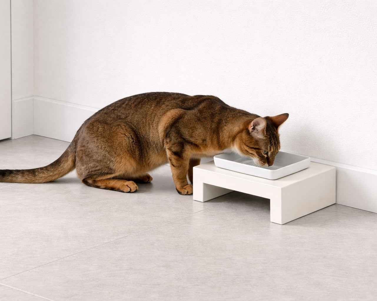 Bowsers Fresco Single Wood Dog Bowl Feeder - Elevated Designer Pet Dining