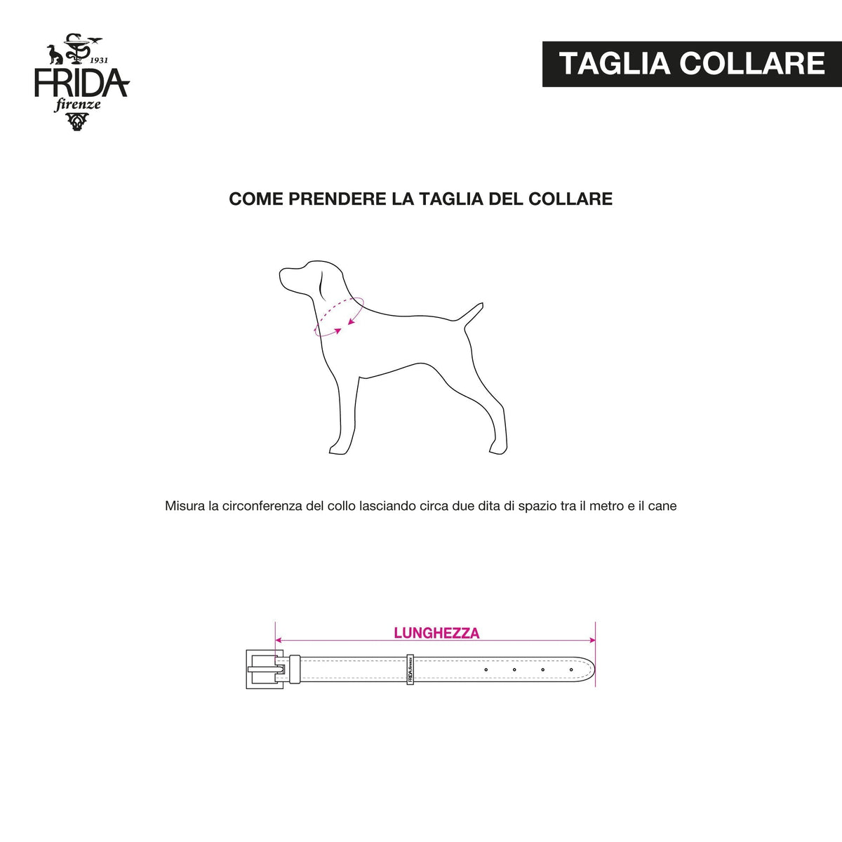 Leather Dog Collar in Mud - Rock Bow, Made in Italy