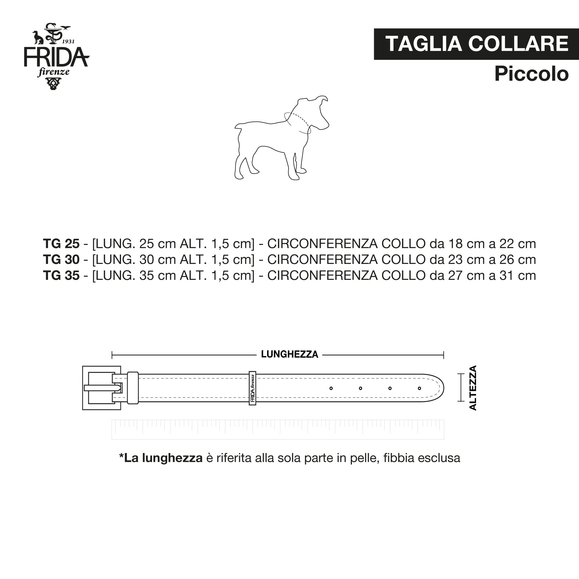 Frida Firenze Size Chart