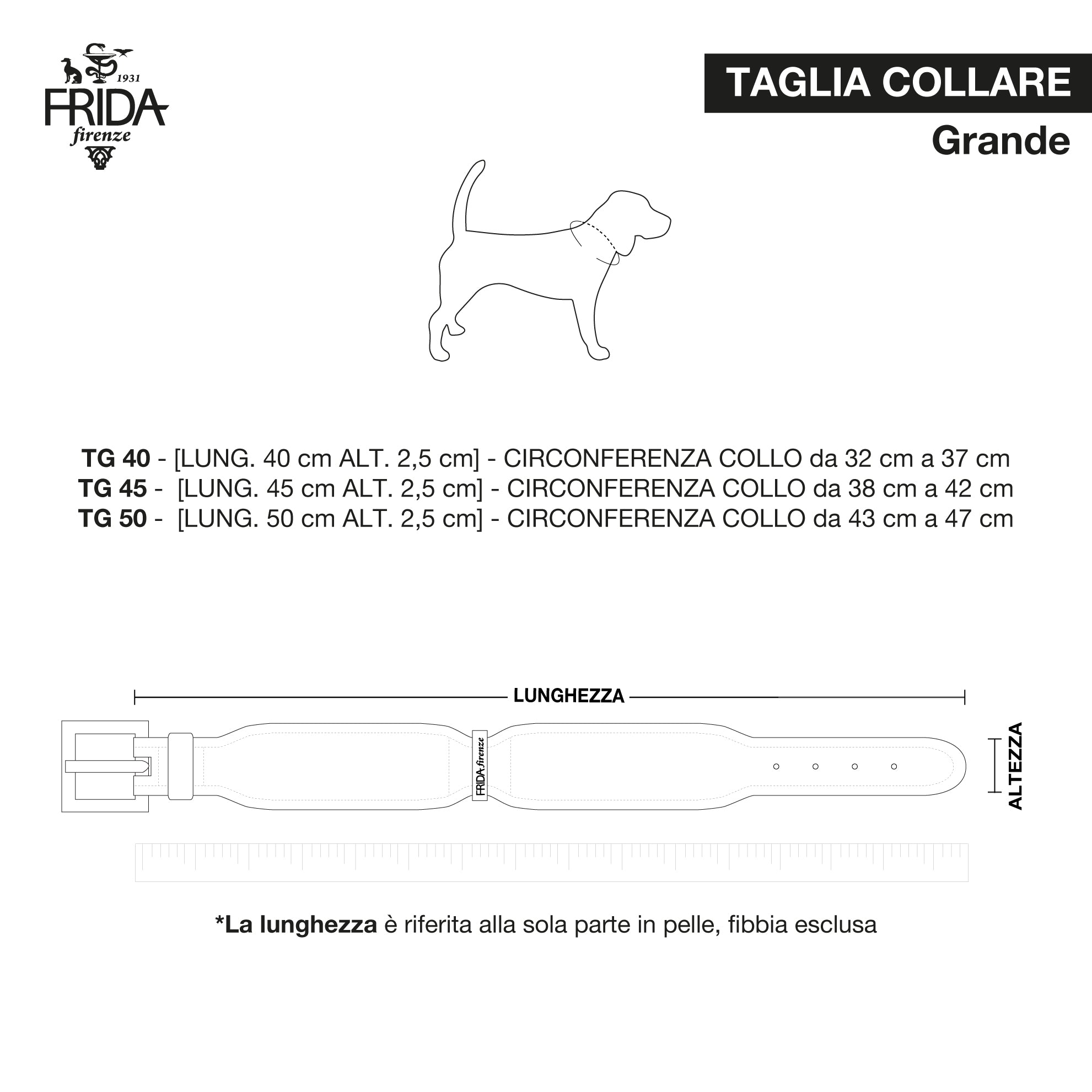 Frida Firenze Size Chart