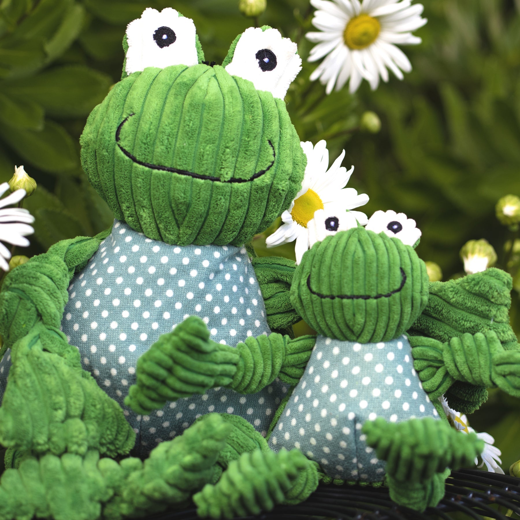 Fergie Frog Knottie Plush Dog Toy
