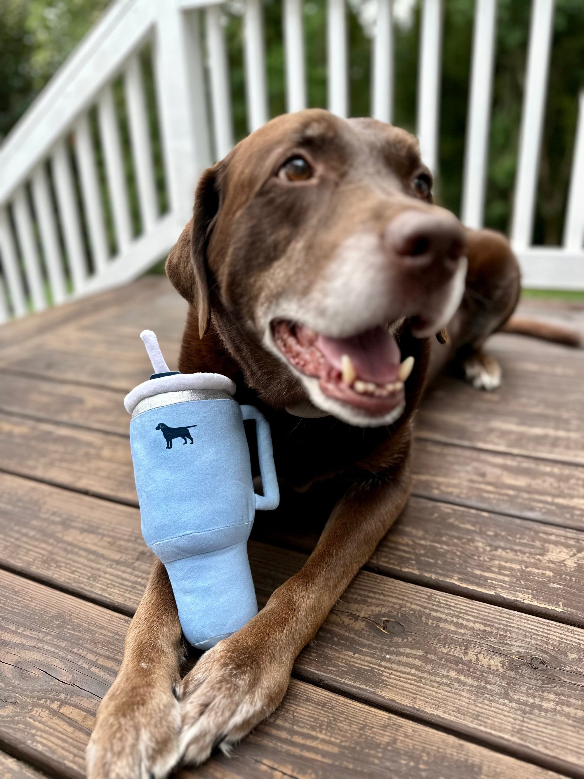 PUPROAR Pup Cup Dog Toy - Cute Squeaky Plush Tumbler Dog Toy