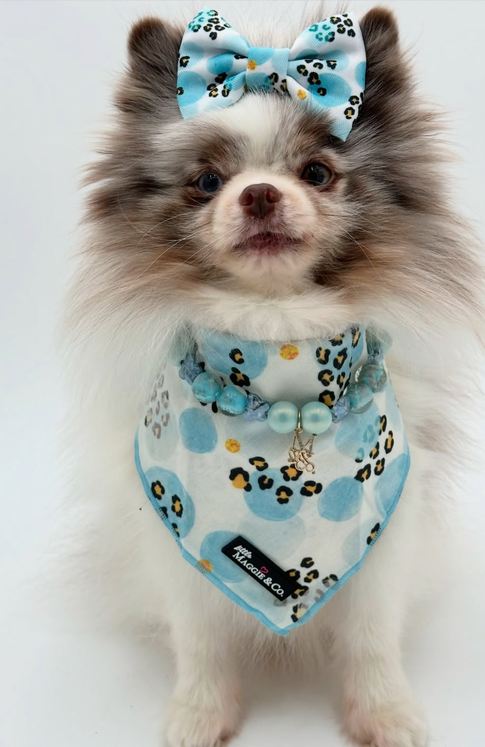 Bandana Set: Blue’s Gone Wild