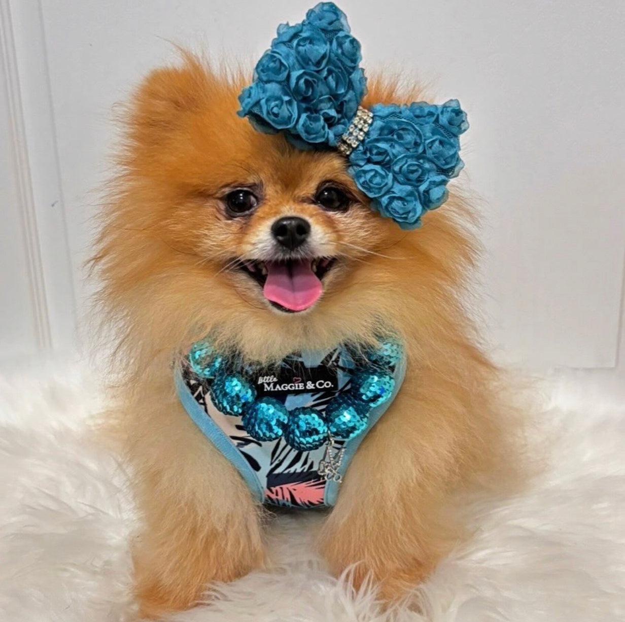 Keep Palm Reversible Harness