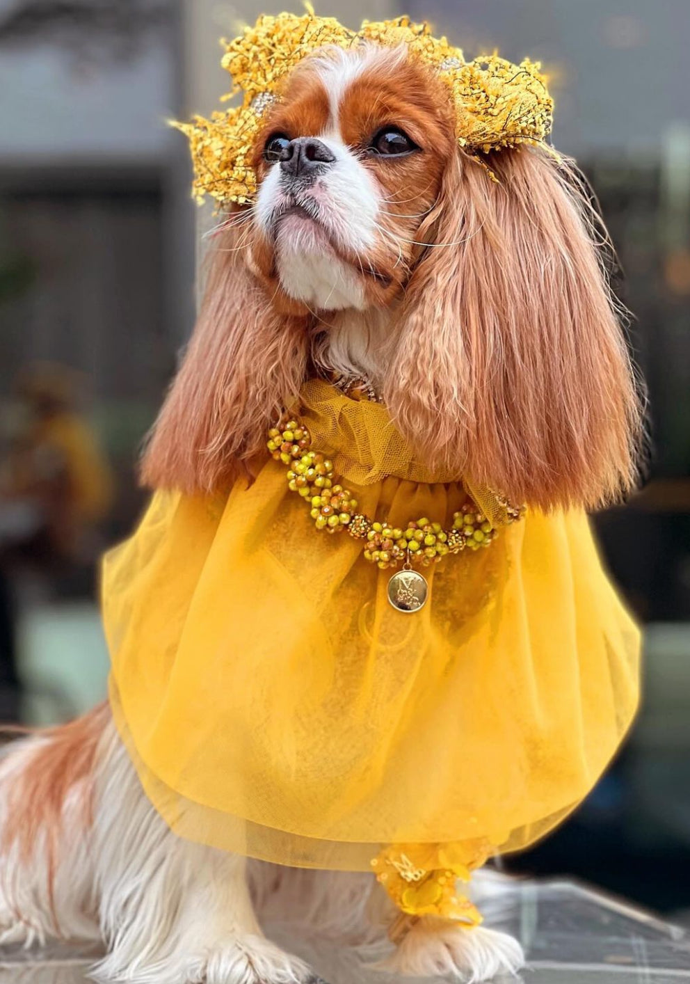 Holiday: All That Glitters Is Gold