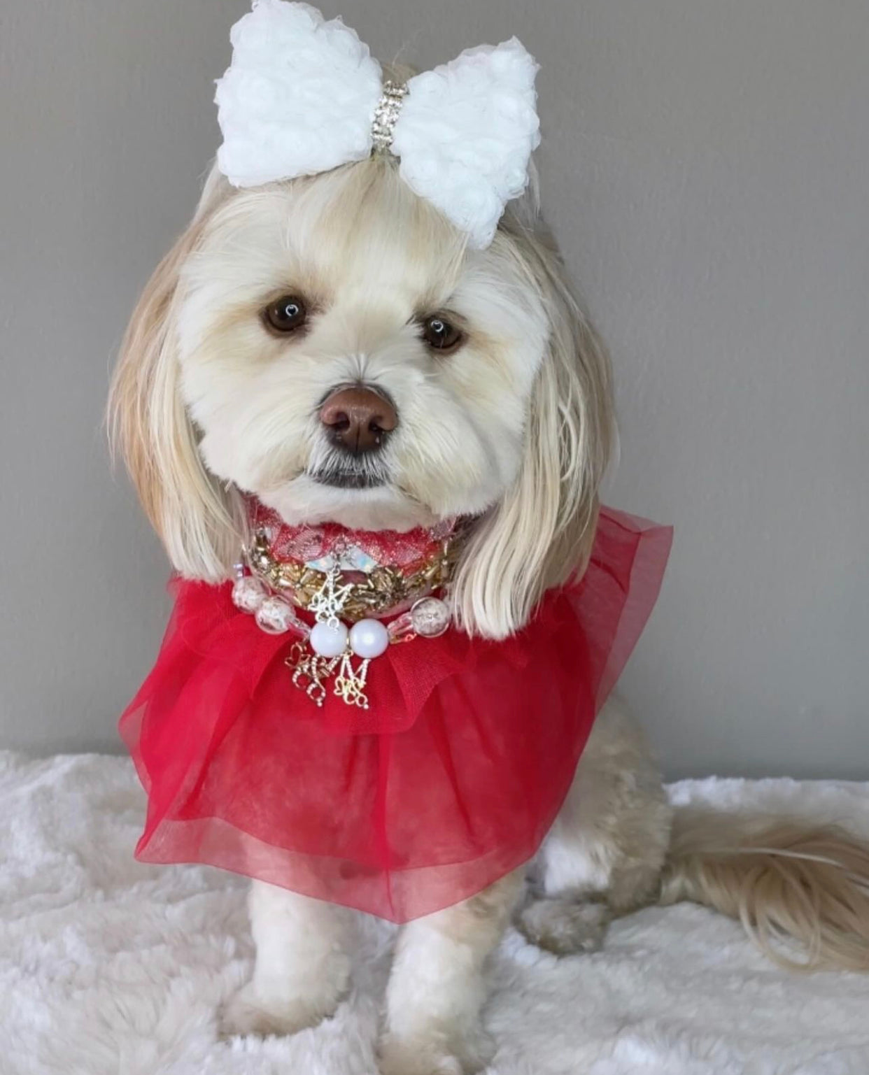 Royal Birthday: My Love