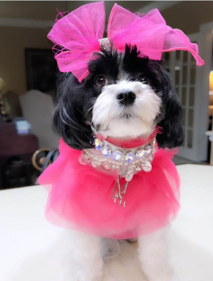 Royal Birthday: Love Story