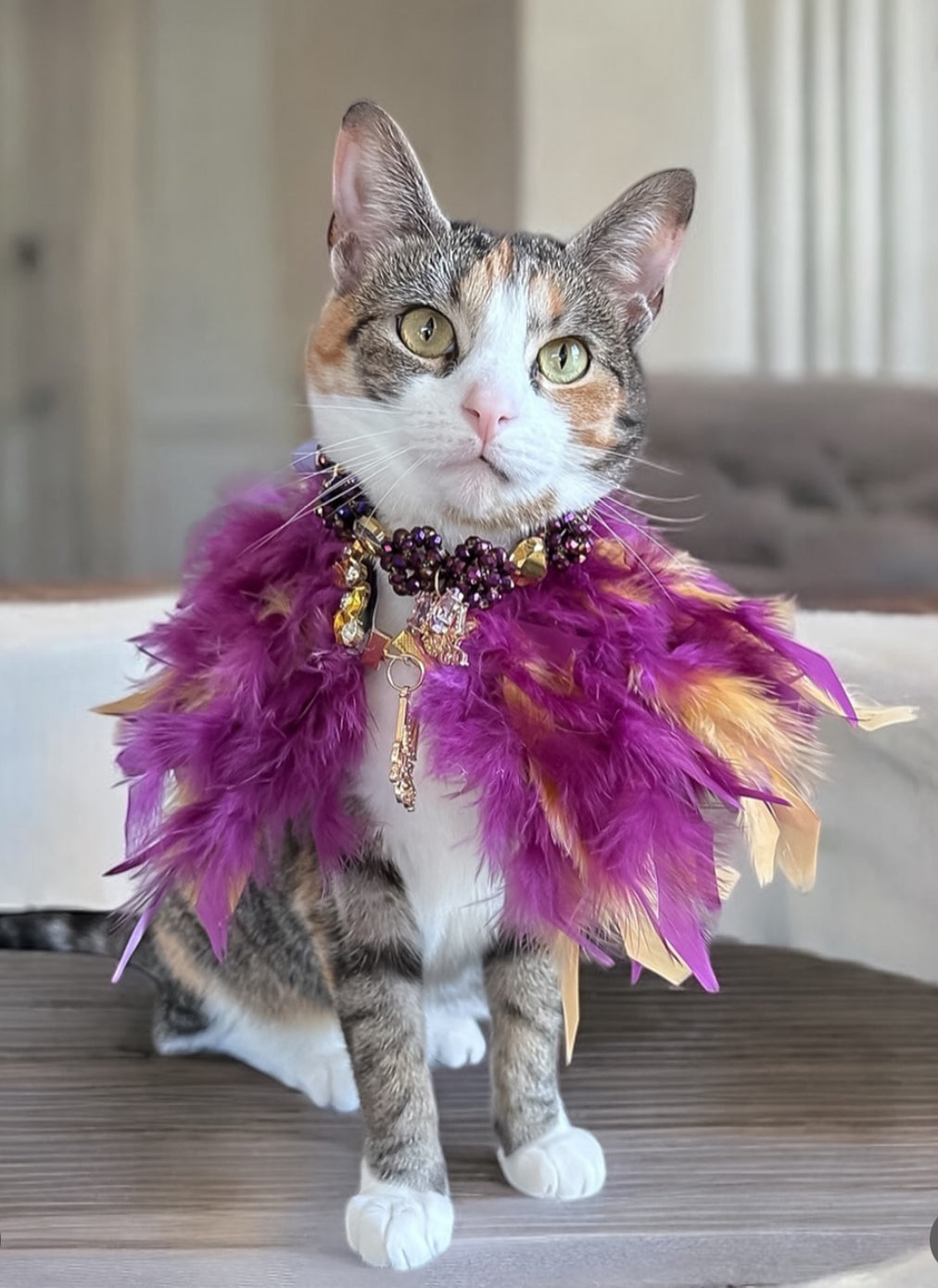 Fairytale Feathers: The Rapunzel