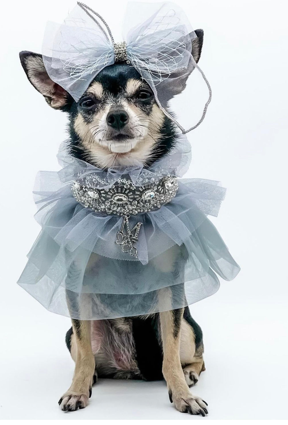 Holiday: Pewter Luster