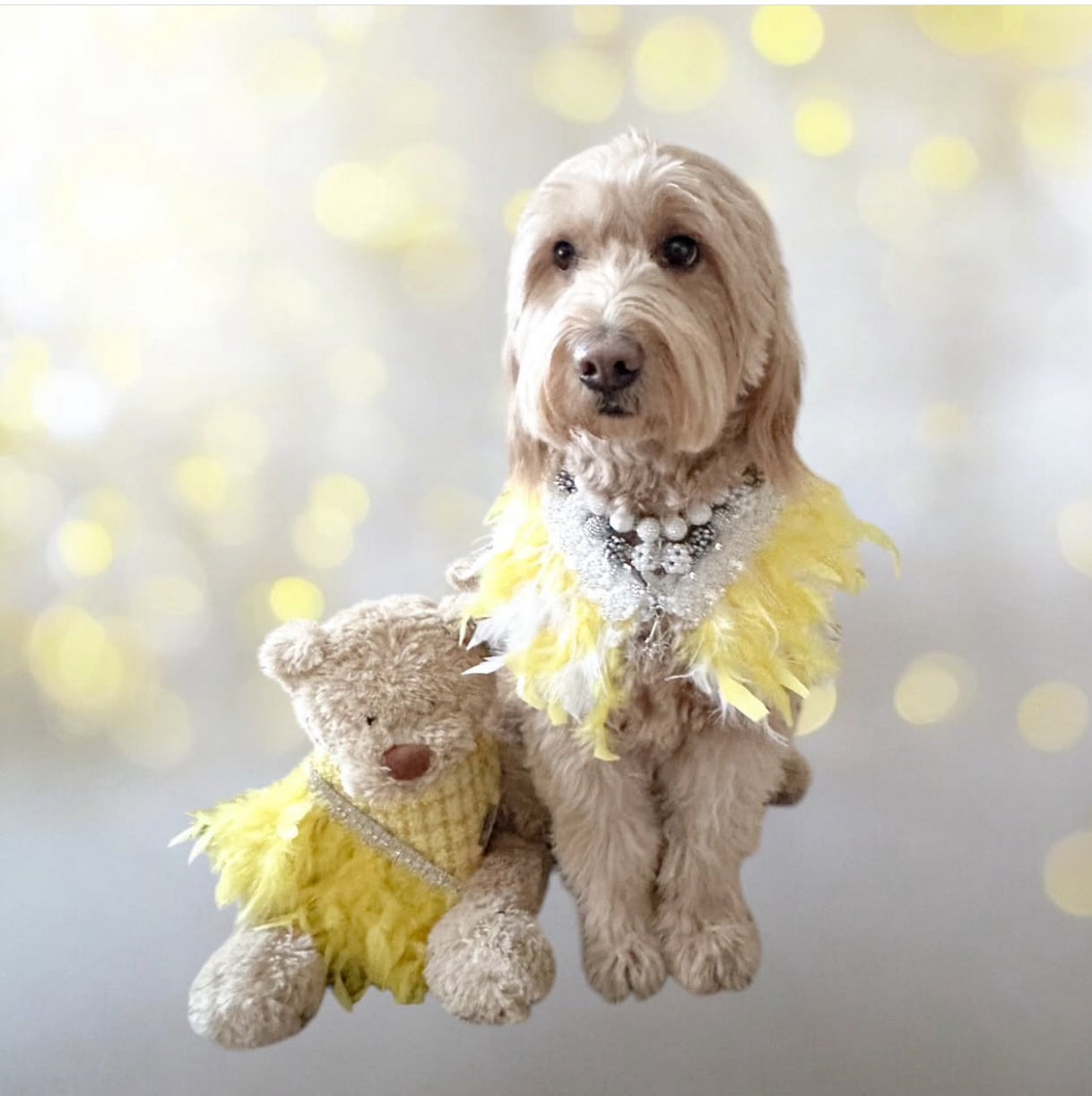 Fairytale Feathers: The Belle