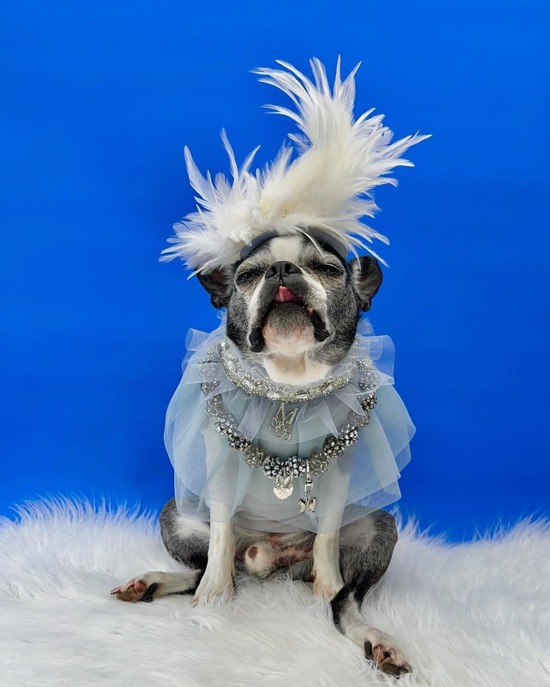 Holiday: Pewter Luster