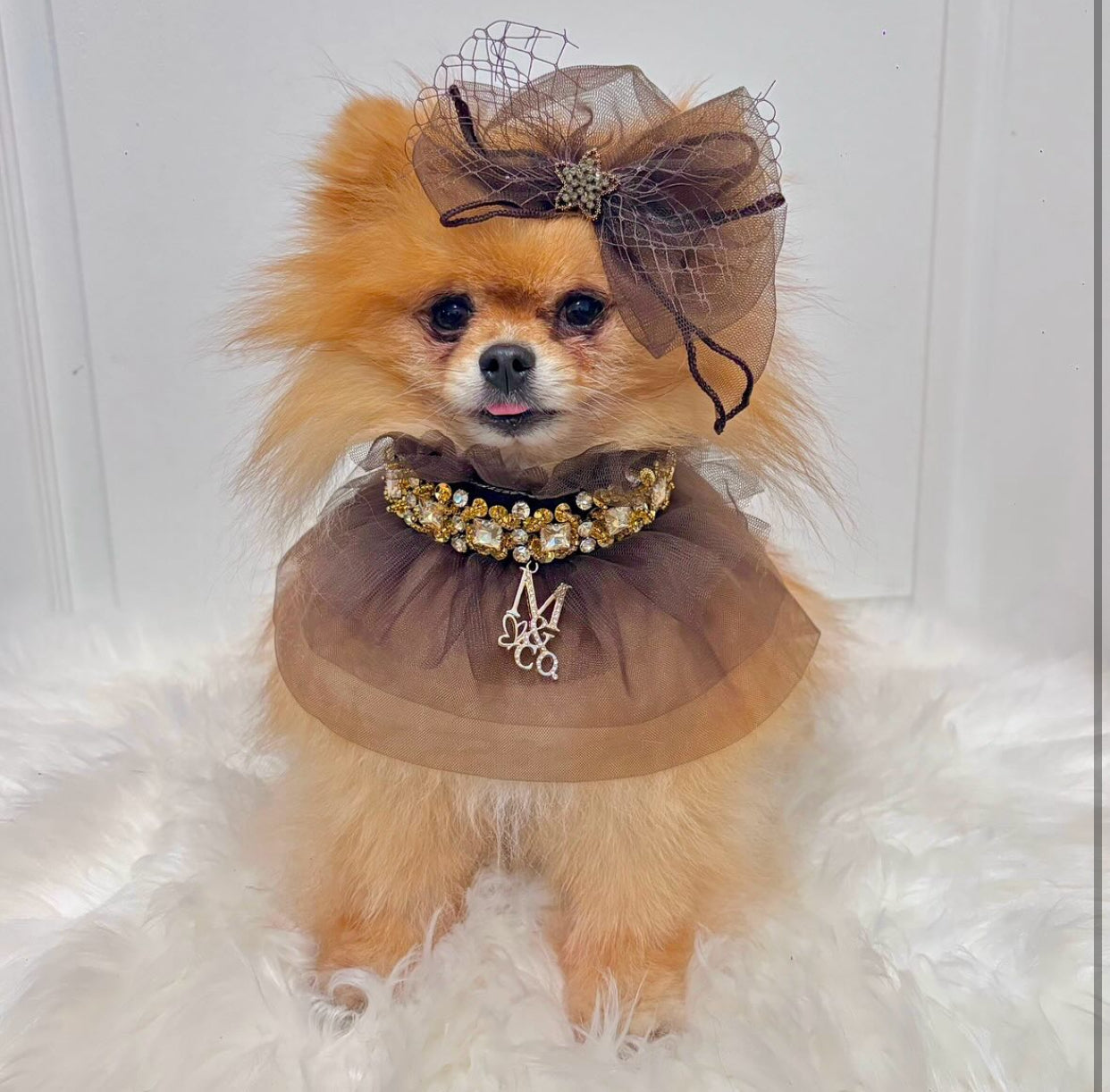 Signature: Golden Chestnut