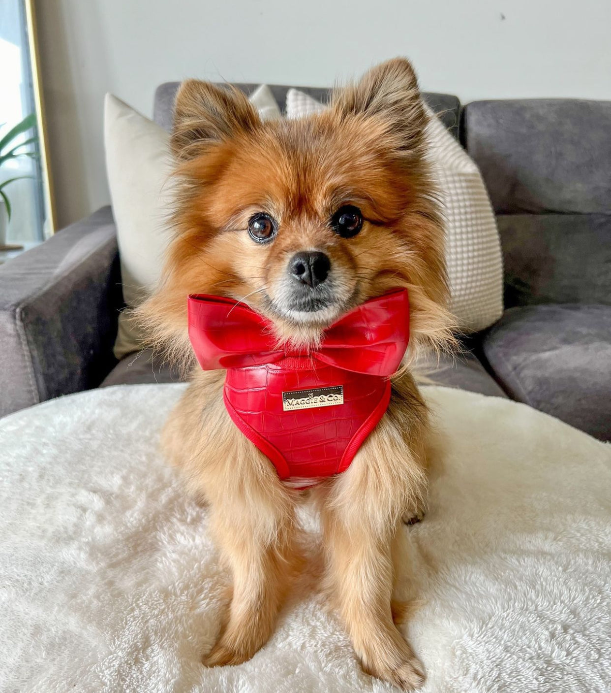 The Ruby Bow Tie