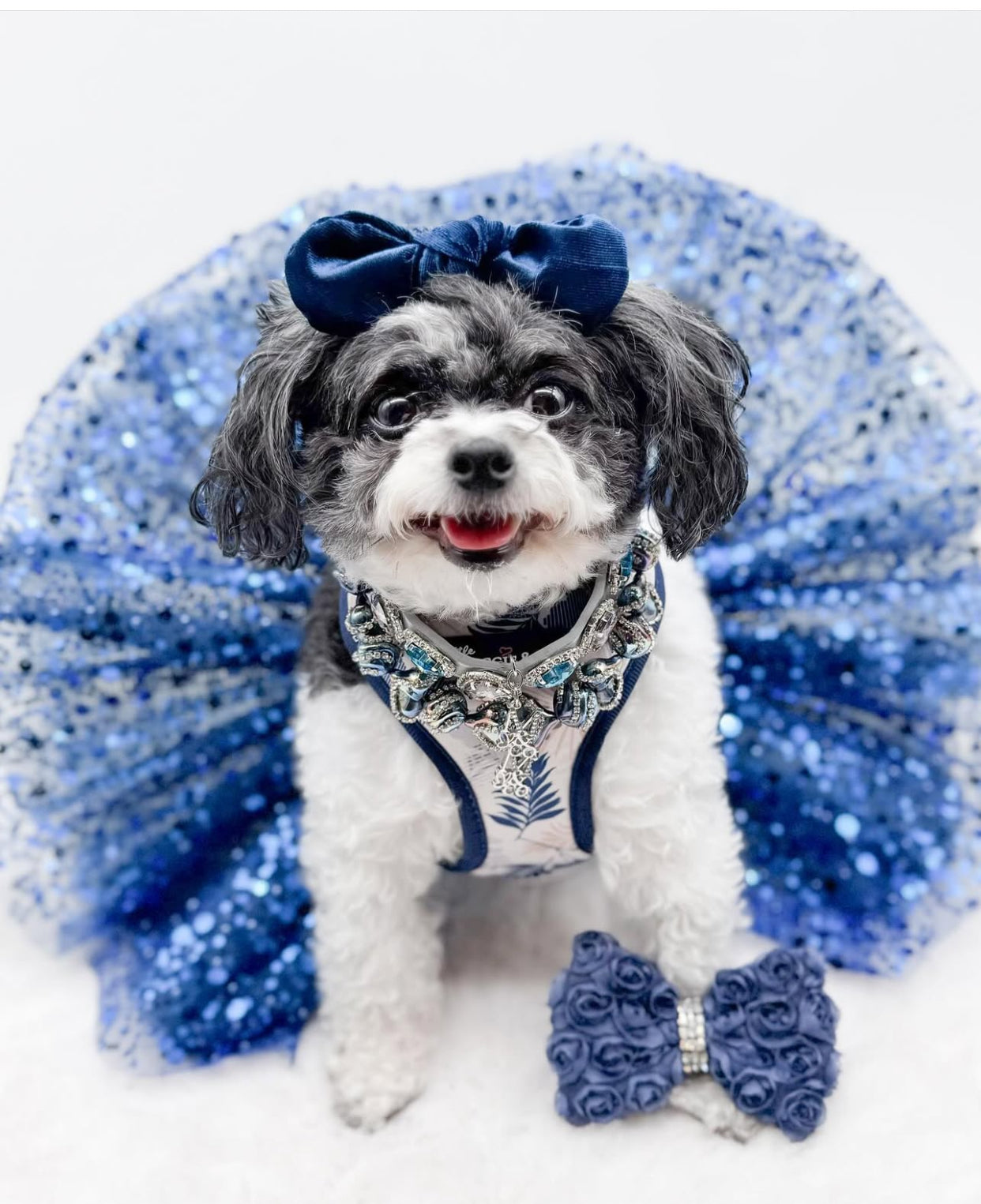 Breezy Reversible Harness