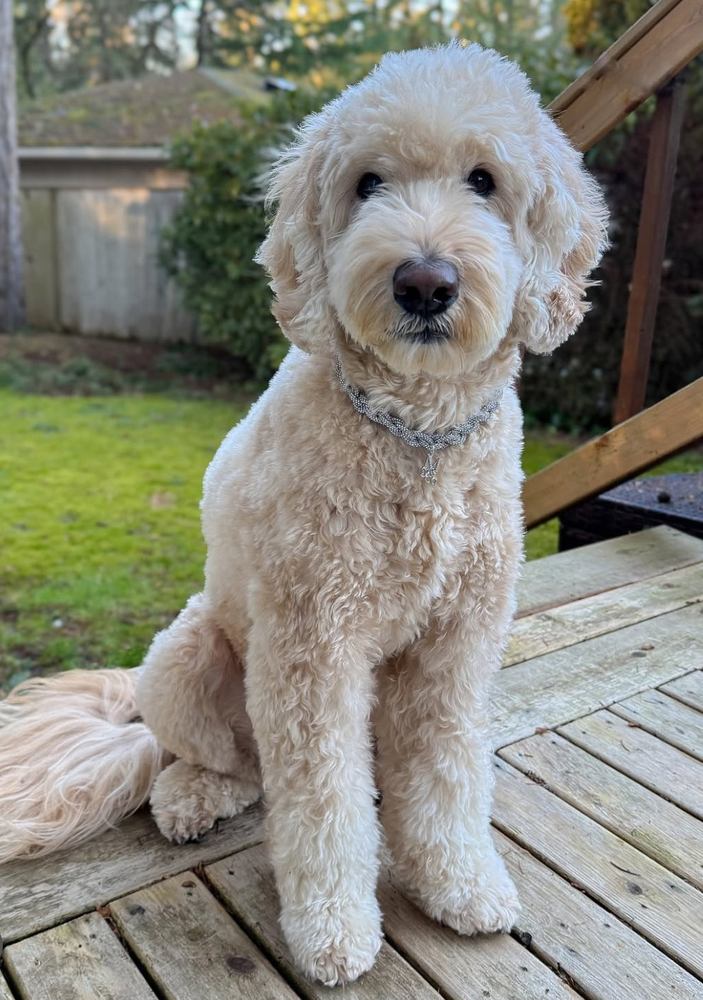 The Supermodel Necklace