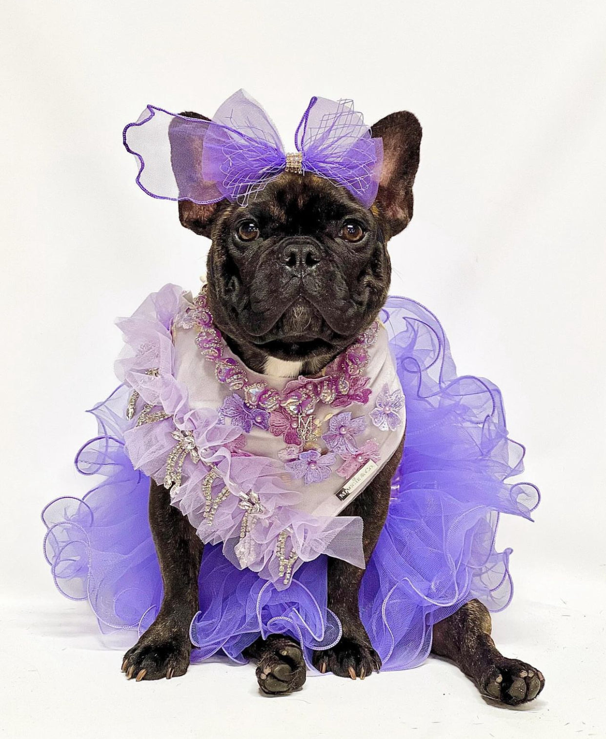 Formal Affair: Shades of Lavender (with feathers)