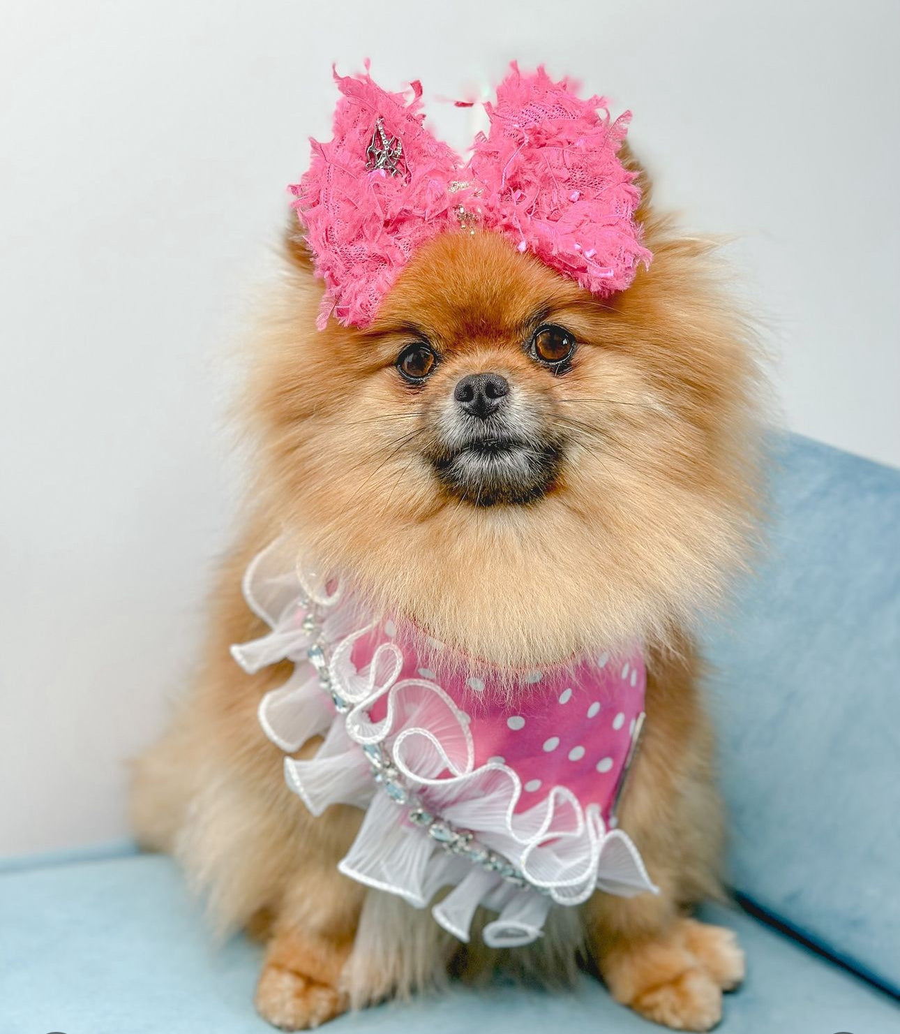 Barkie Collection: Ruffle Me Pink Bandana