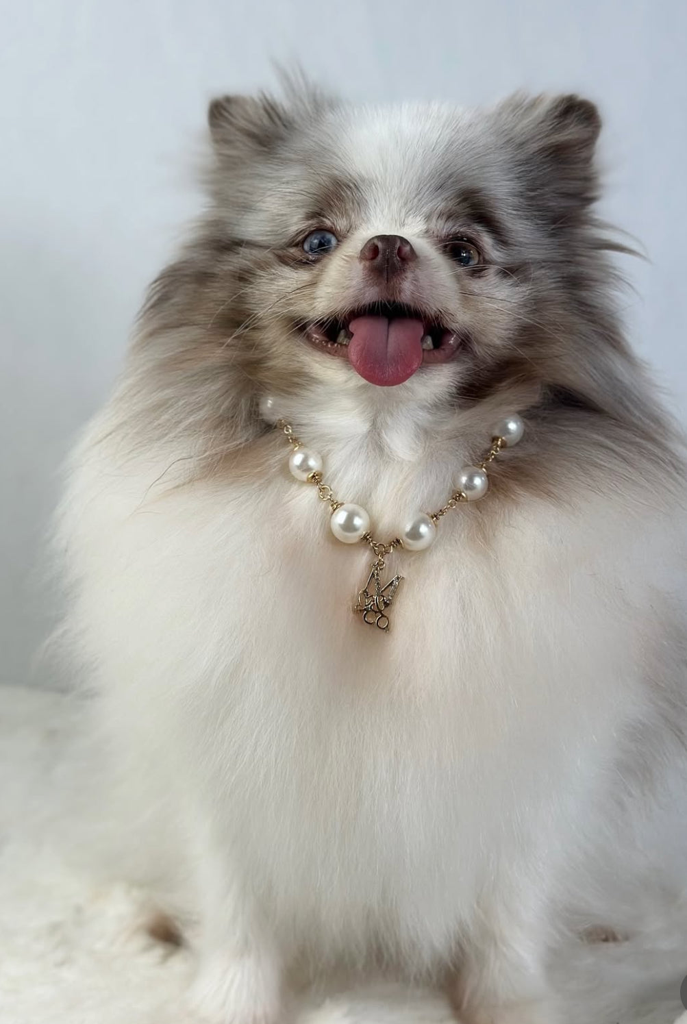 The Iconic Pearl Necklace