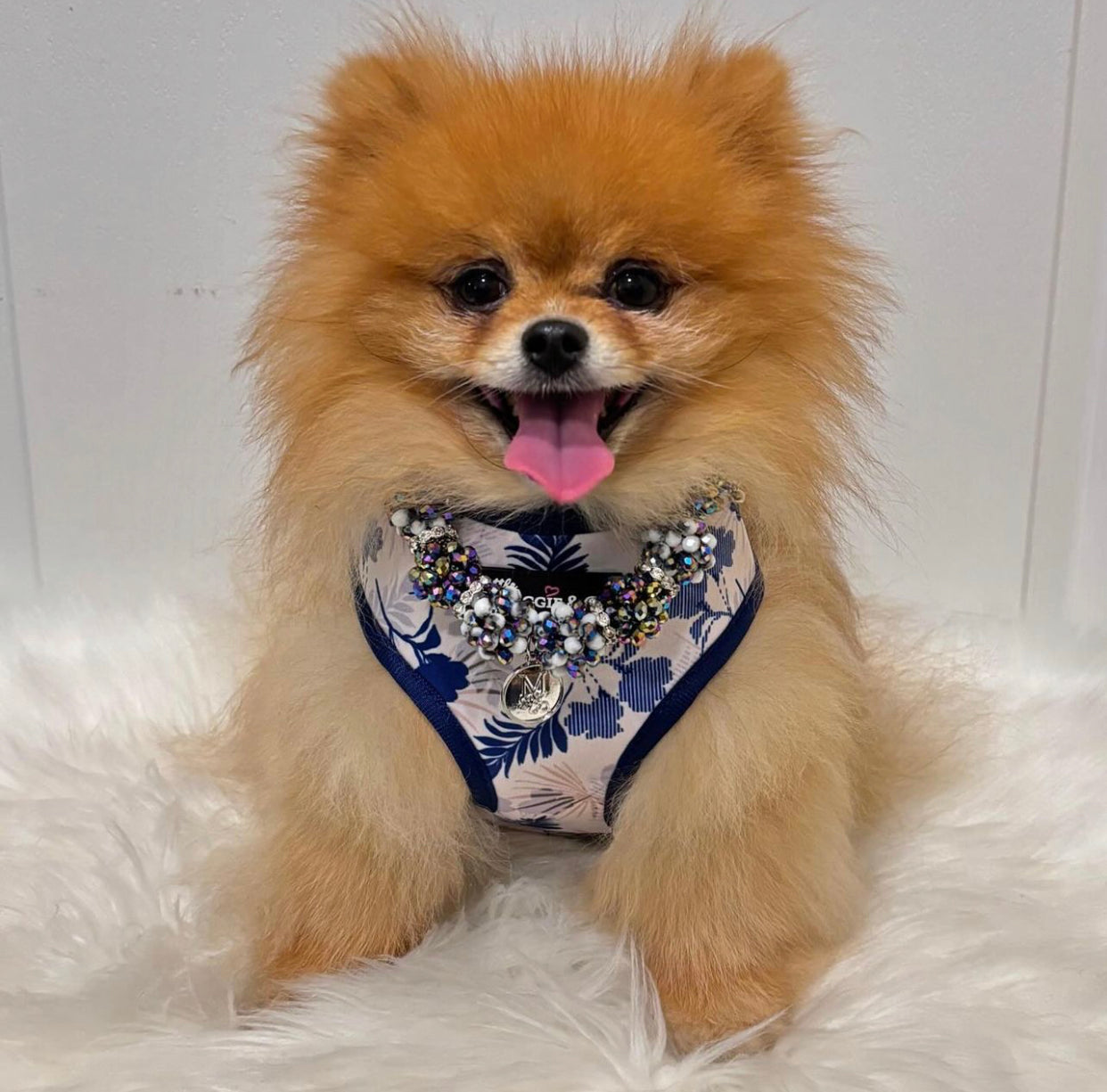 Breezy Reversible Harness