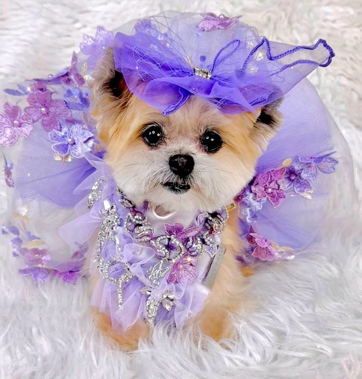 Formal Affair: Shades of Lavender (with feathers)
