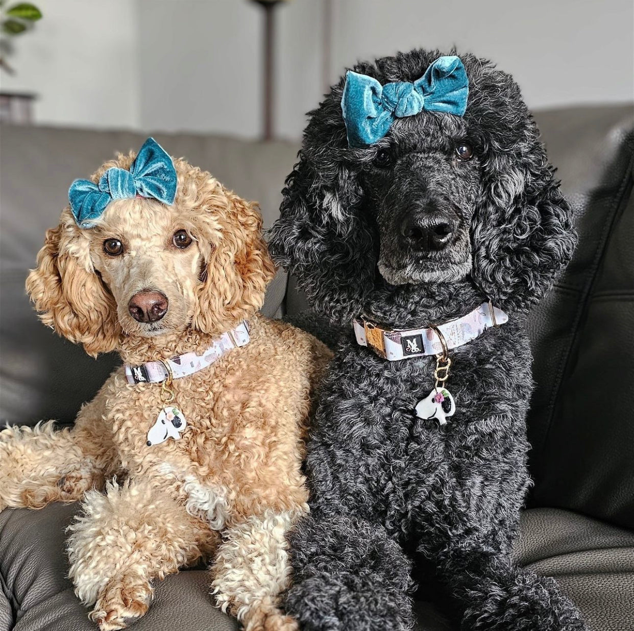 Velvet Knot Bow: Oasis