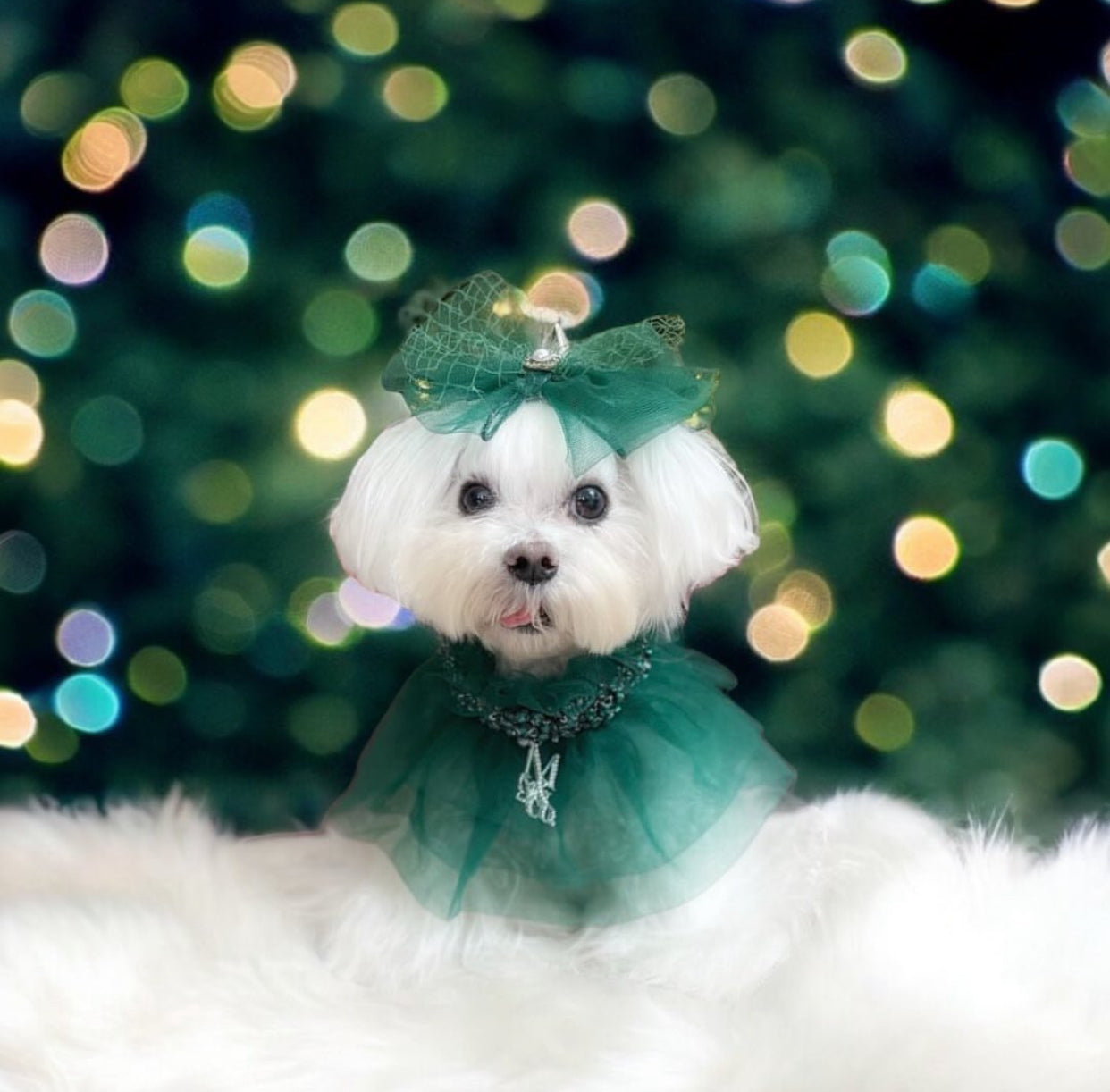 Signature: Green with Envy