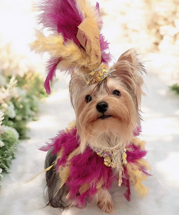 Fairytale Feathers: The Rapunzel