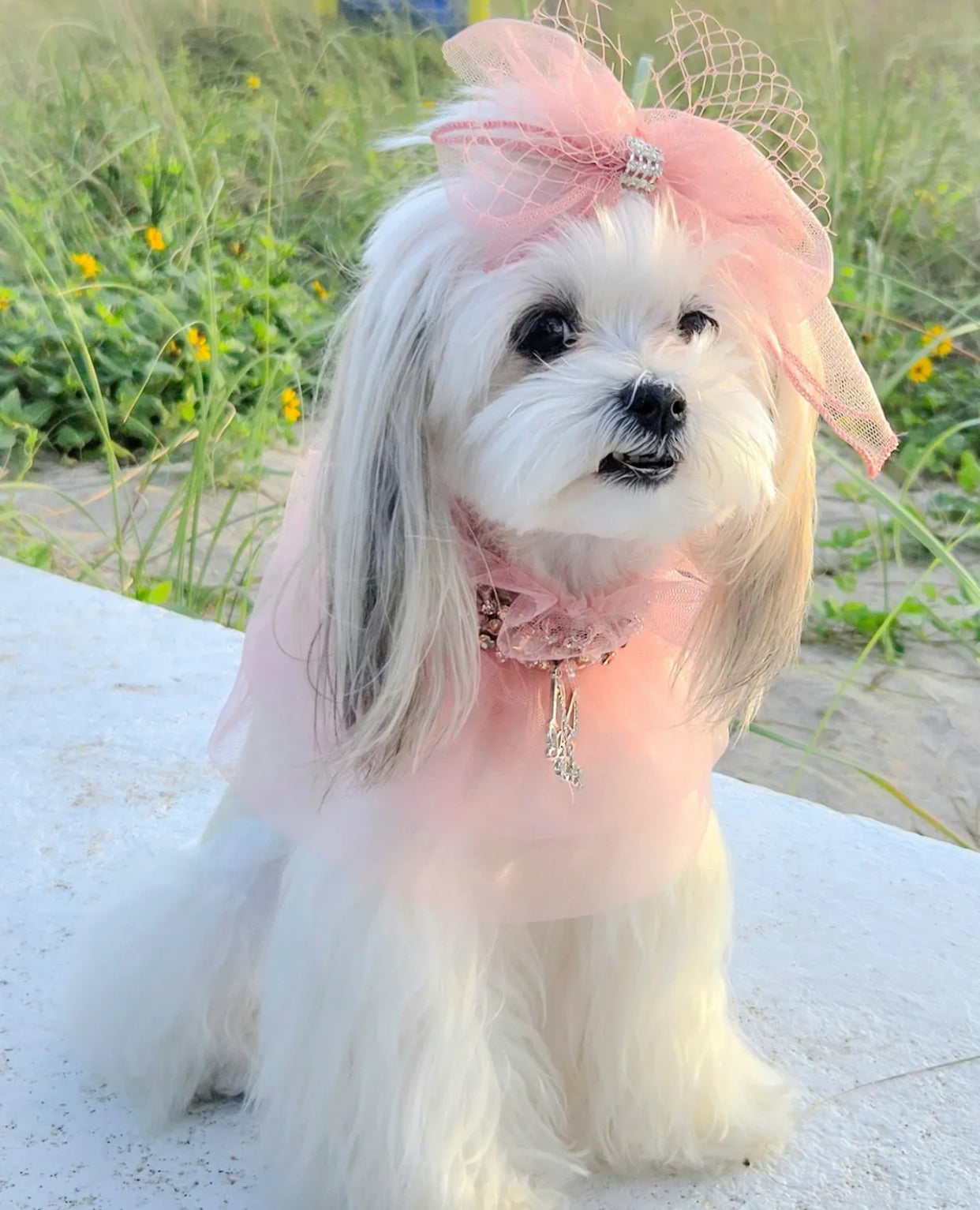 Signature II: High Maintenance